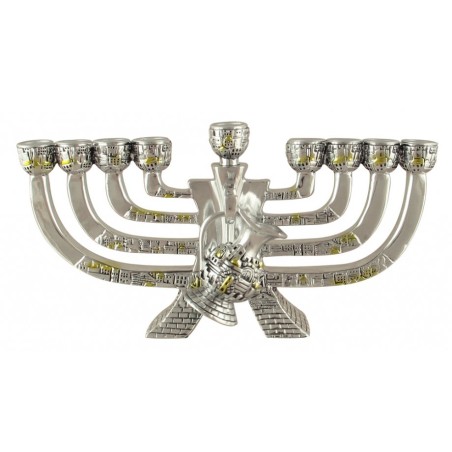 חנוכיית חנוכה בציפוי כסף מפולירזין עם גו... | חנוכיית חנוכה